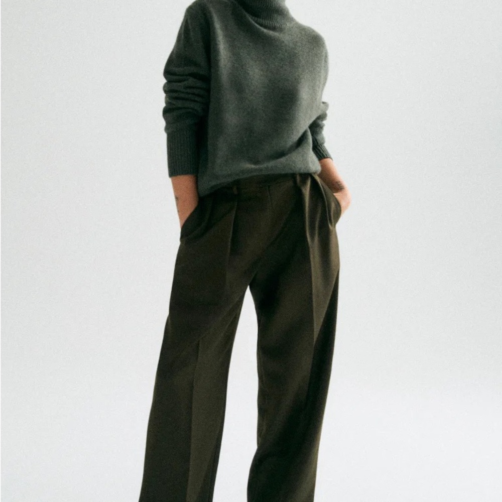 NWOT RENGGLI pleated trouser (size 0)